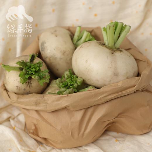 生态圆白萝卜（中通） | 合作生产*Ecological round white radish | Coproduction 商品图2
