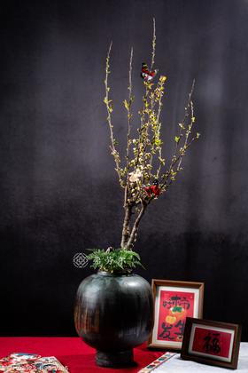 如花似锦