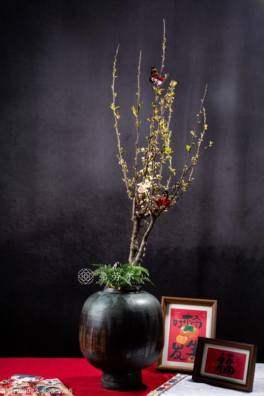 如花似锦 商品图0