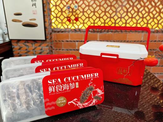 淳度甄选鲜食大连海参1斤10头/8头 辽刺参海鲜水产 年货送礼佳品 商品图3