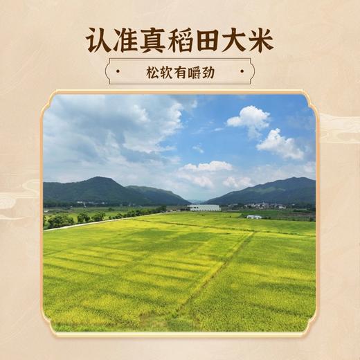 和平乐源 阿公树坝 丝苗米1号 5kg 商品图3