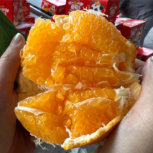 春见耙耙柑，细嫩多汁，酸甜适口，果肉化渣！ 商品图1