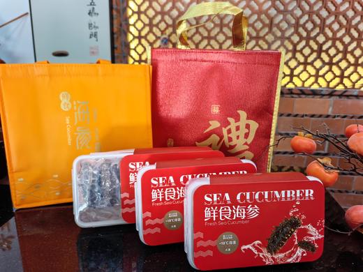 淳度甄选鲜食大连海参1斤10头/8头 辽刺参海鲜水产 年货送礼佳品 商品图1