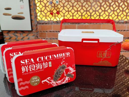 淳度甄选鲜食大连海参1斤10头/8头 辽刺参海鲜水产 年货送礼佳品 商品图2