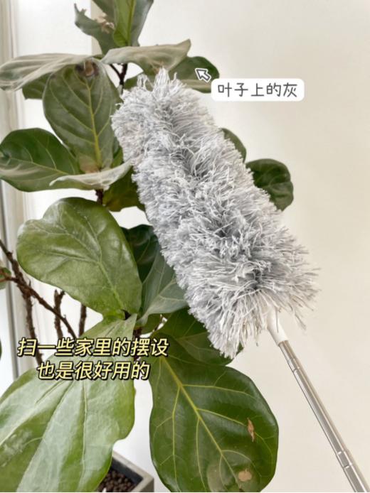🌿【KEYIOW静电多功能除尘掸🥰】--线上同款高达几十，咱们19.9还送一个替换头⭕ *超强静电吸附力👍，不伤家居不扬灰，可伸缩2.8米 商品图5