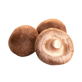 MM 山姆 香菇 320g