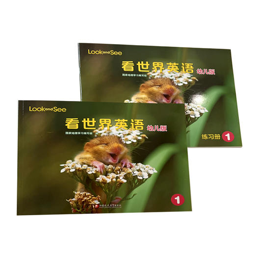 Look and See 看世界 幼儿版 商品图7