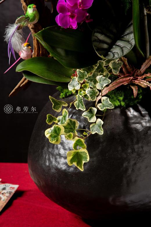 瑞蛇传喜讯 商品图9