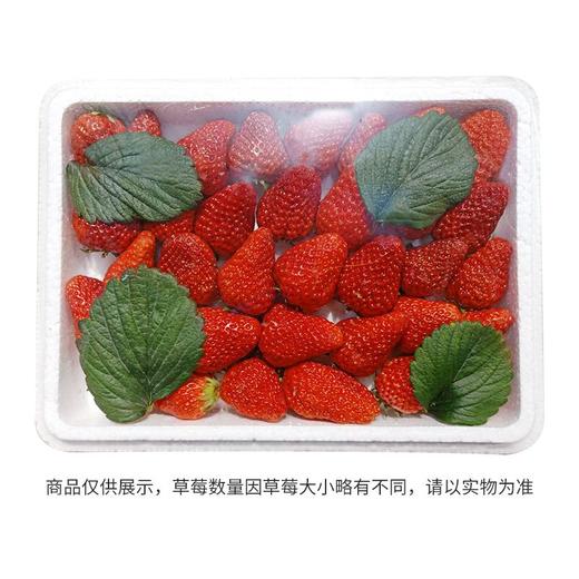 九九草莓（盒） 商品图1