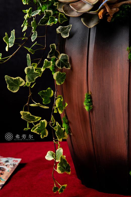 金蛇喜迎春 商品图3