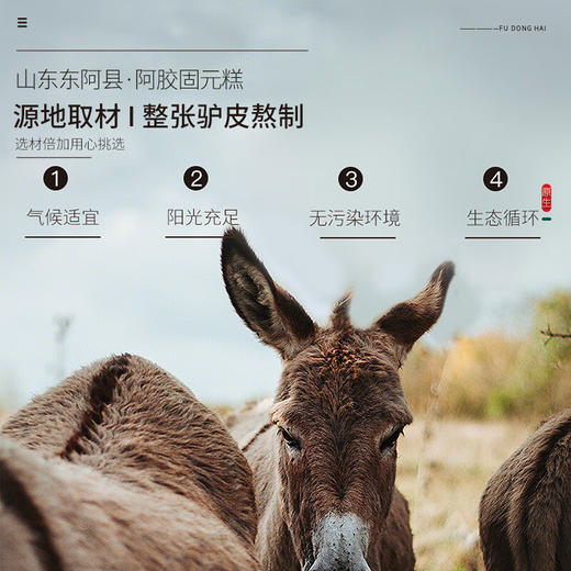 【分仓直发包邮】 阿胶固元糕500g/盒 商品图3