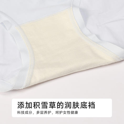 都市丽人纯棉系列100支棉舒肤棉双百系列平角裤LKH5B8 商品图7