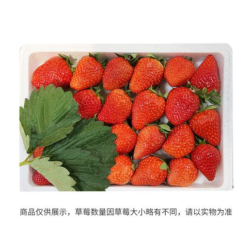 九九草莓（盒） 商品图2