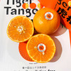 新鲜柑橘 云南虎柑一箱约4斤 礼盒装 商品缩略图5