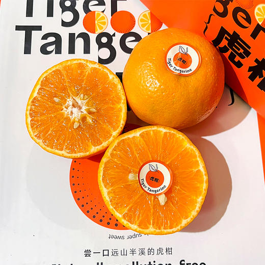 新鲜柑橘 云南虎柑一箱约4斤 礼盒装 商品图5