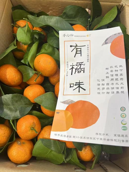 有机砂糖橘（5斤装） 商品图0