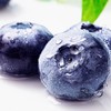 【顺丰空运】东北丹东L25蓝莓鲜果 脆甜花香个大 营养丰富 现摘现发 新鲜水果 - BYKSG 商品缩略图3