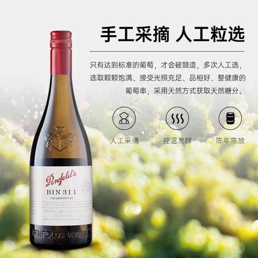 989奔富BIN311霞多丽白葡萄酒 商品图0