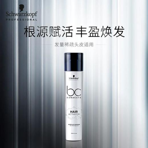 施华蔻专业保丽秀发强韧洗发水250ml 商品图0