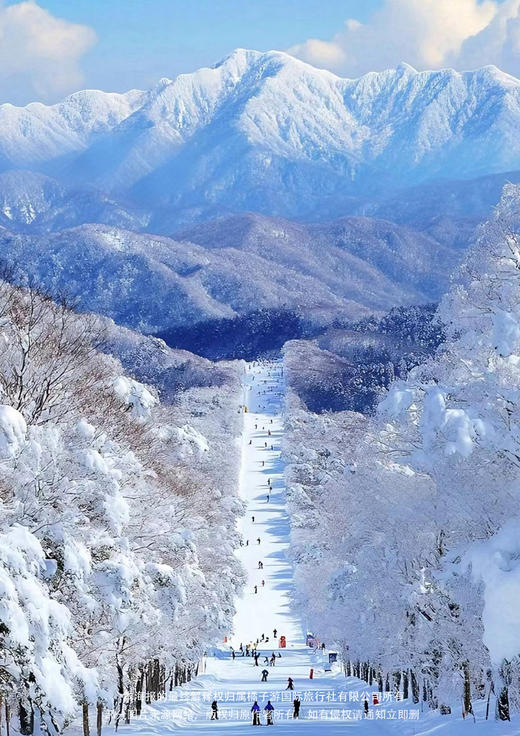 【轻奢之旅】 神农架中和国际滑雪场、恩施绿葱坡国际滑雪场双飞纯玩六天 商品图1