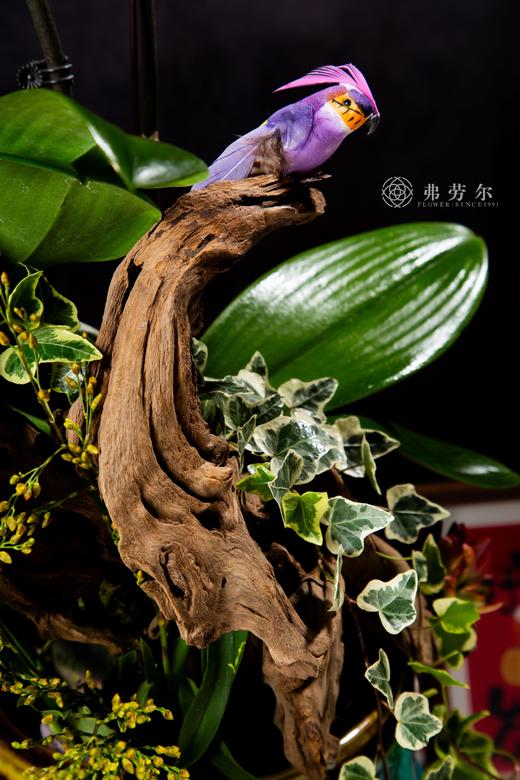 福蛇迎春 商品图2