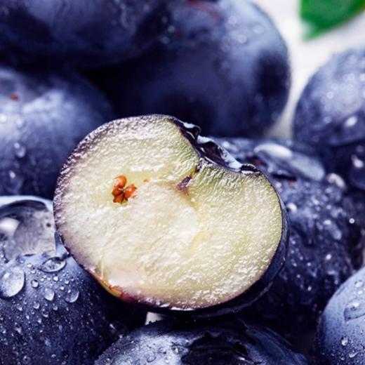 【顺丰空运】东北丹东L25蓝莓鲜果 脆甜花香个大 营养丰富 现摘现发 新鲜水果 - BYKSG 商品图2