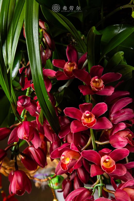 银蛇乐报春 商品图2