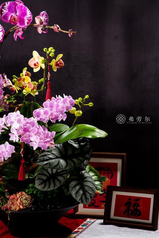 岁岁平安 商品图3