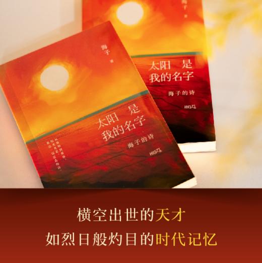 太阳是我的名字 海子的诗 | 纪念海子诞辰60周年、逝世35周年的精华选本 商品图4