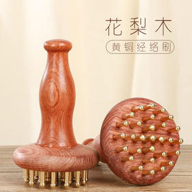 【油麻菜同款】花梨木加长手柄29黄铜齿 经络刷