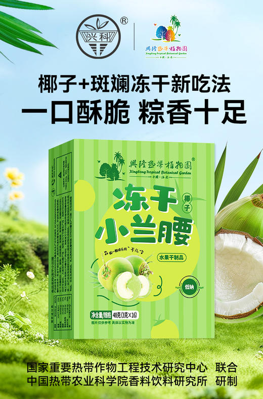 兴科冻干果蔬系列小零食/兴隆热带植物园/ 商品图1