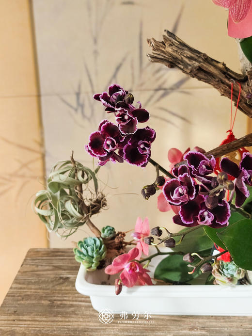 JT金蛇呈祥 商品图2