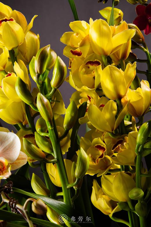 银蛇乐报春 商品图3