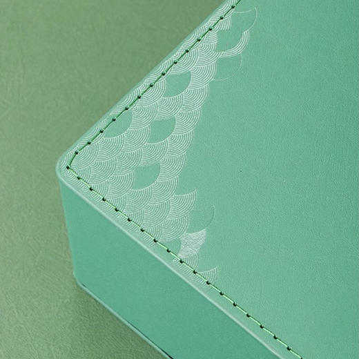 开园头采【4罐翠涛绿】30元一套 一件14套 商品图2