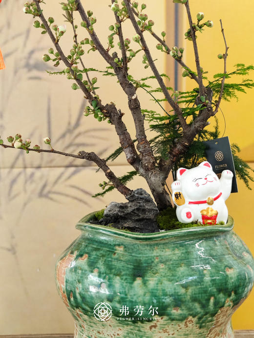 花开灿烂 商品图1