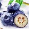 【顺丰空运】东北丹东L25蓝莓鲜果 脆甜花香个大 营养丰富 现摘现发 新鲜水果 - BYKSG 商品缩略图4