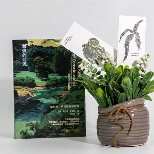 意识的河流  “医学界桂冠诗人”奥利弗・萨克斯的随笔别集 商品图1