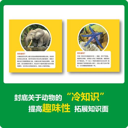 【99选3】美国国家地理-猜猜他是谁 商品图6