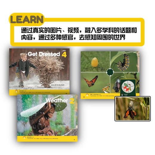 Look and See 看世界 幼儿版 商品图4