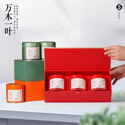 万木一叶【91矮罐 三合一 红色】35元一套 一件18套 商品图3