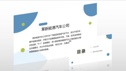 案例 | 某新能源汽车公司混改同步实施“上持下”激励详解（2024） 商品图0