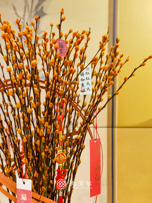 年年有银留（橙色款） 商品图2