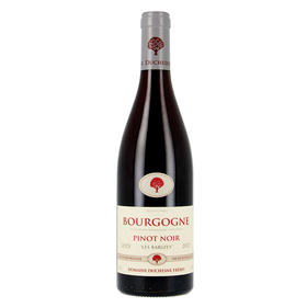 【完税】2023年杜森兄弟勃艮第红葡萄酒