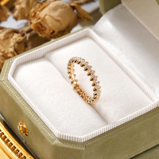 子佩集S925银【锋芒之外】戒指纯银【KK570R】时尚镀金2501 商品图2