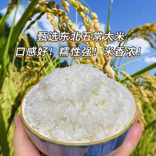五常稻花香2号大米 商品图0
