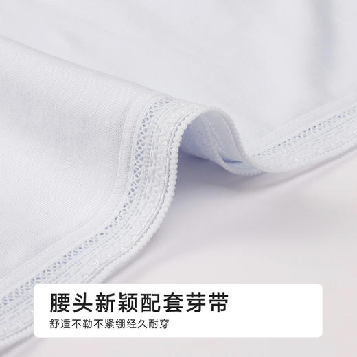 都市丽人宽版包覆系列人棉宽版包覆三角裤LKH2A5 商品图4