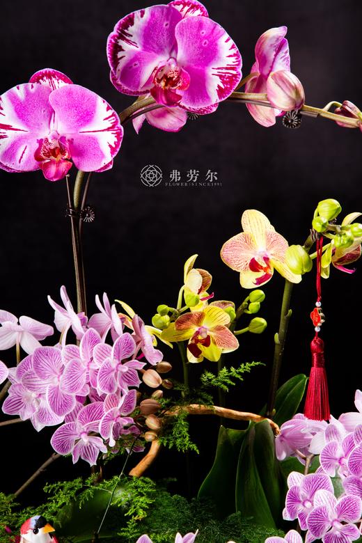 岁岁平安 商品图2