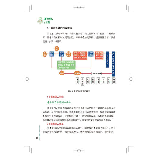 肝胆肠排毒 周易兴著 肝胆的疾病 肝胆肠与其他身体系统的关系 排毒期间的注意事项 辅助肝胆肠排毒全身净化 中医古籍出版社 商品图4