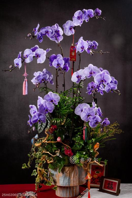 蛇舞翩跹 商品图0