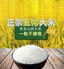 五常稻花香大米， 米中贵族，连白米饭都是人间美味 商品缩略图4